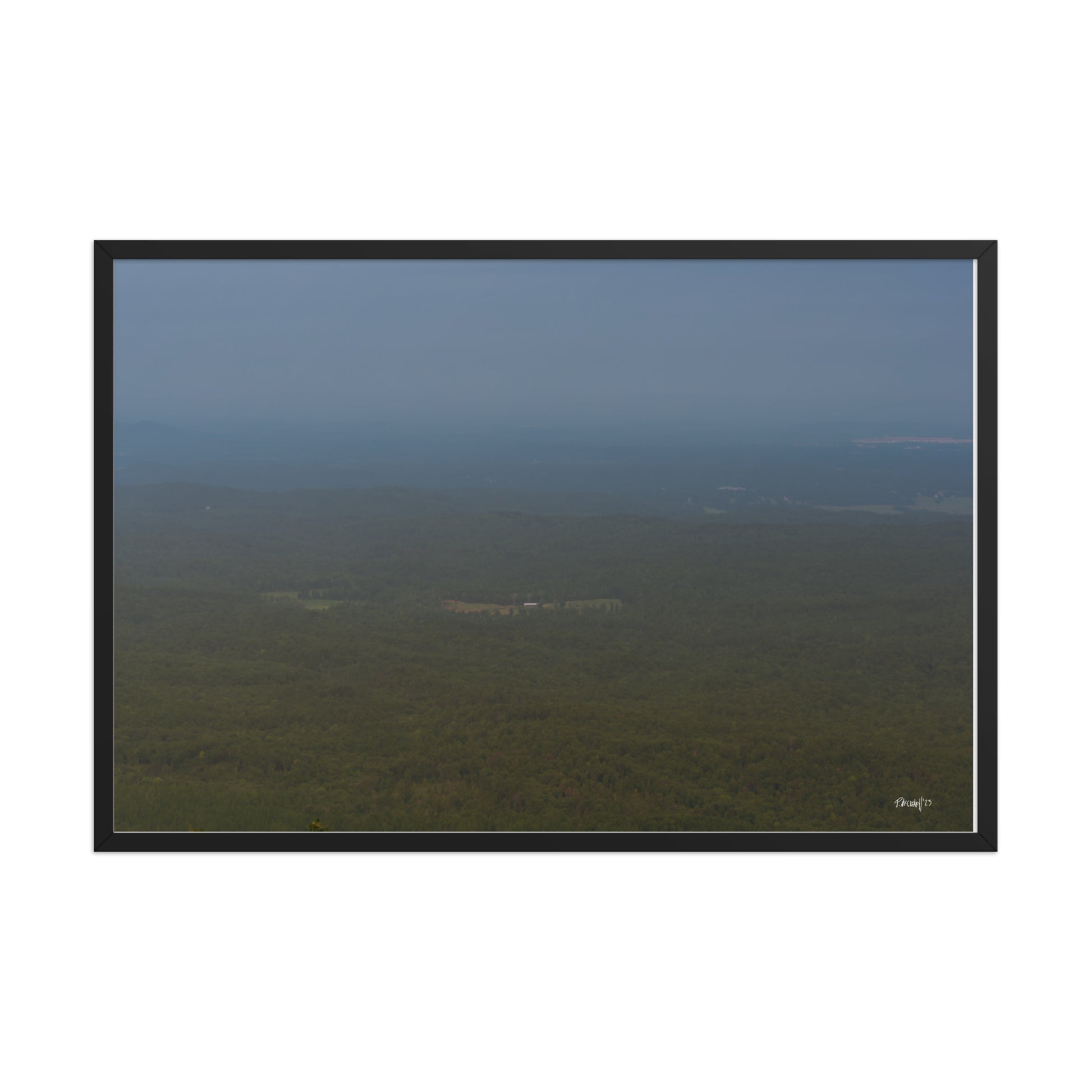 Verdant - 24x36 - T