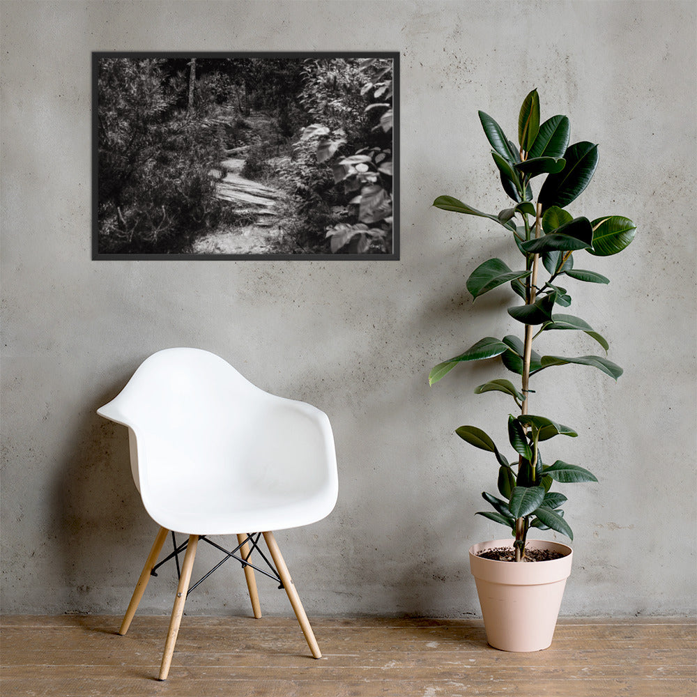 Trial - 24x36 - LI