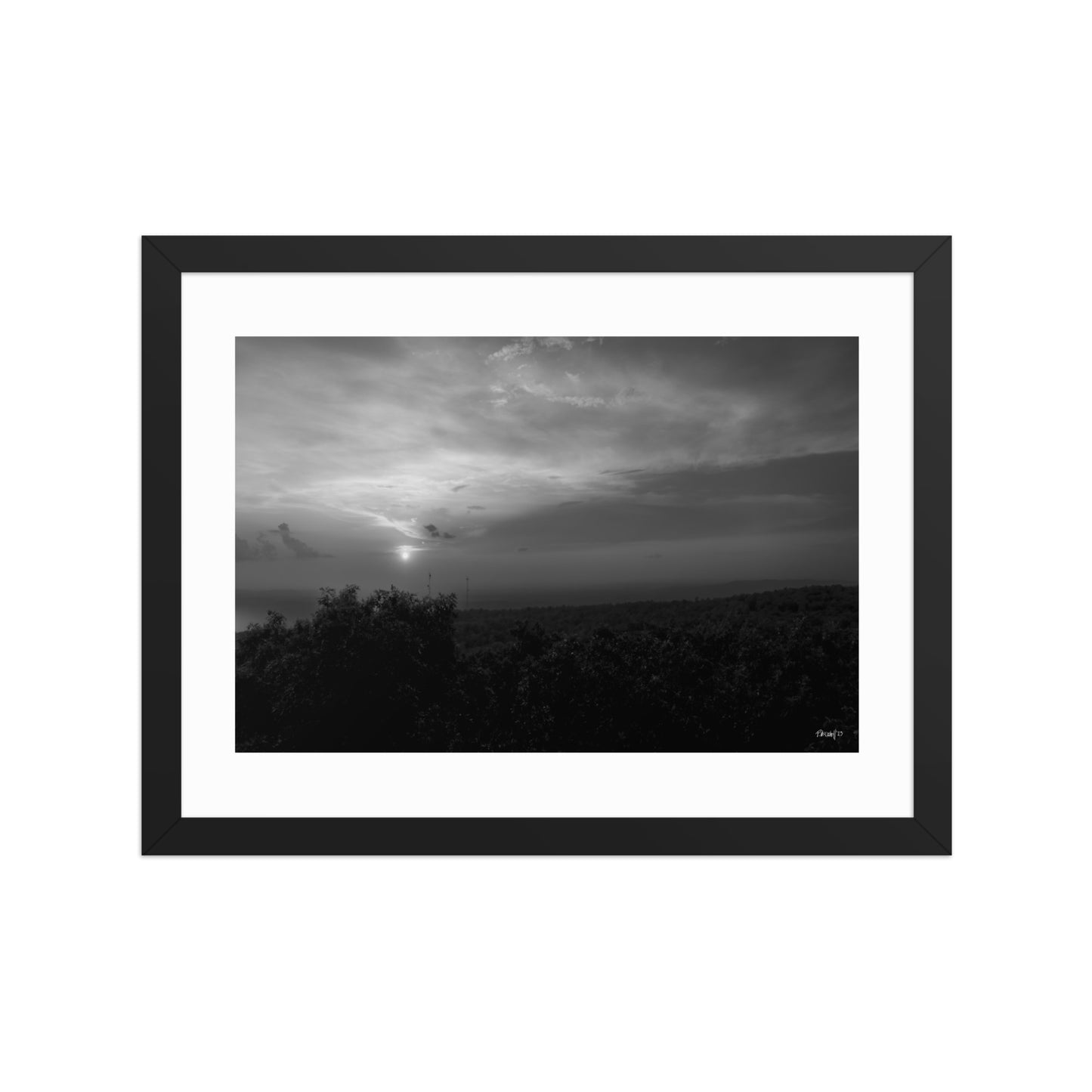 Contour - 12x16 - T