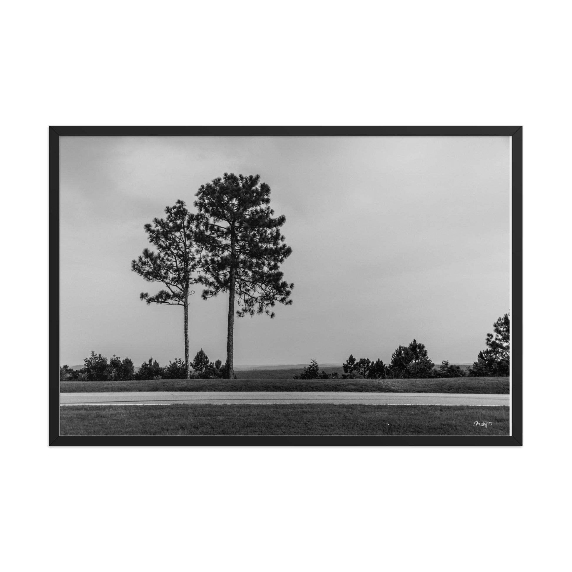 Thinning - 24x36 - T