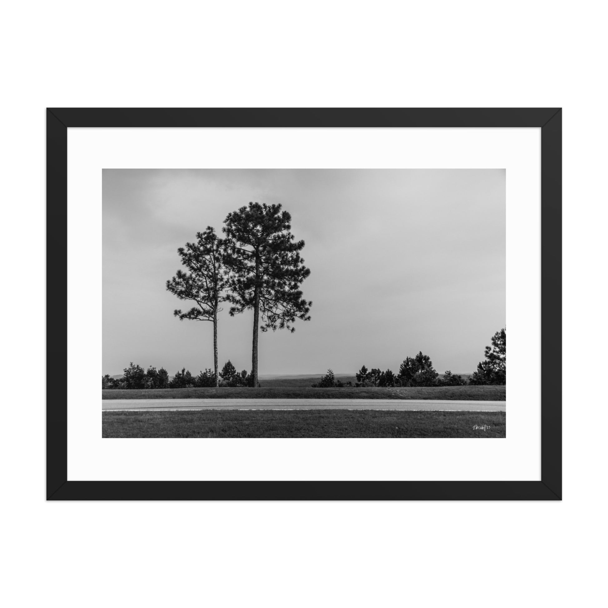 Thinning - 18x24 - T