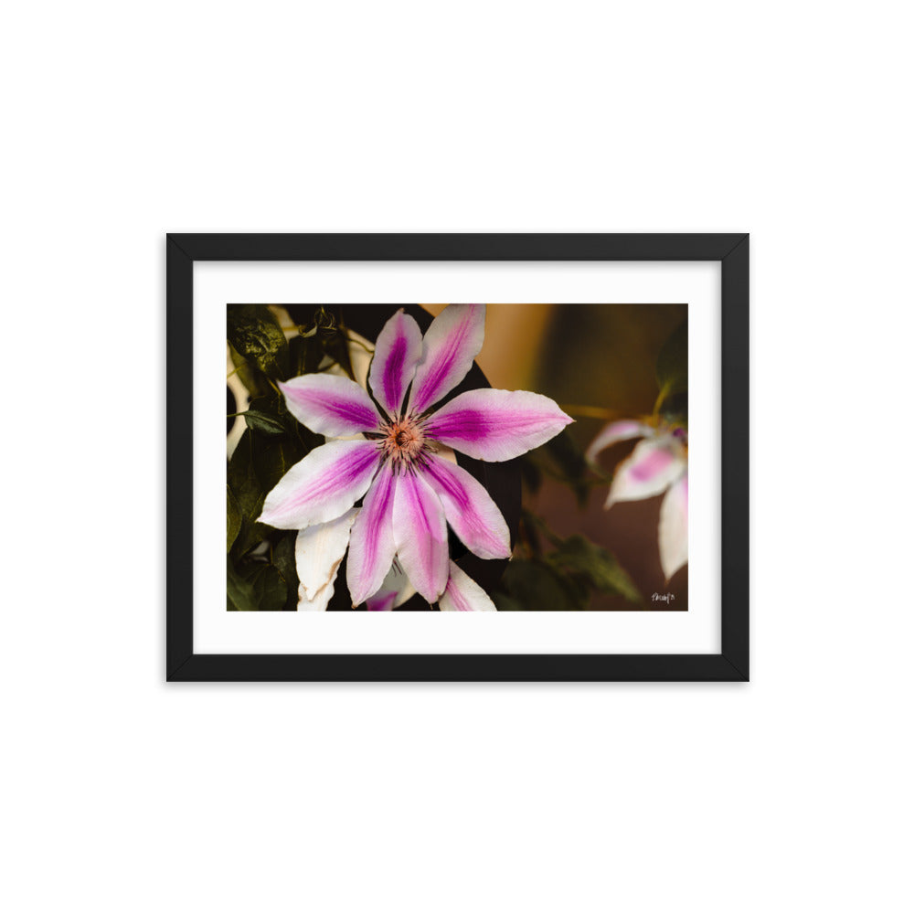 Blossom - 12x16 - T