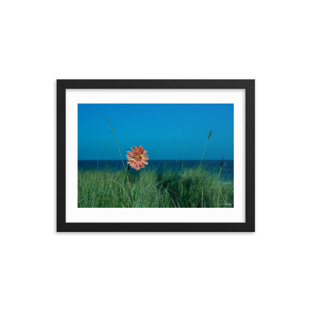 Solitude - 12x16 - T