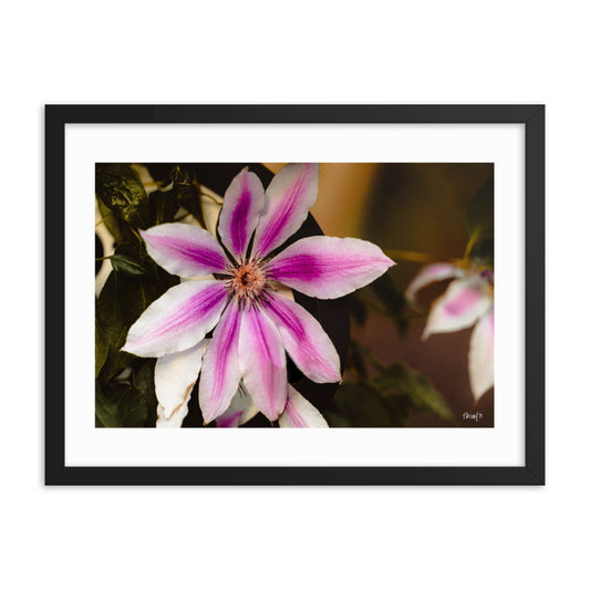 Blossom - 18x24 - T