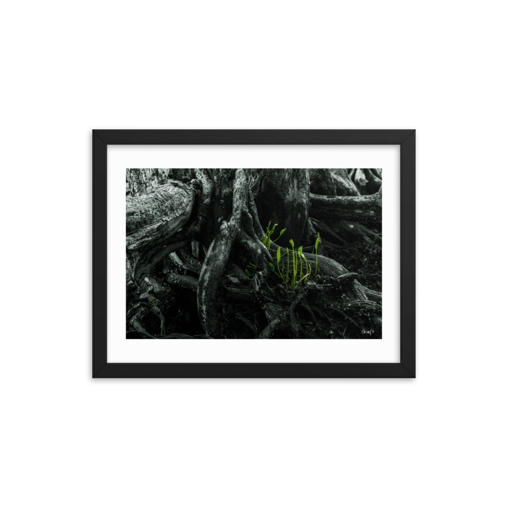 Seedlings - 12x16 - T