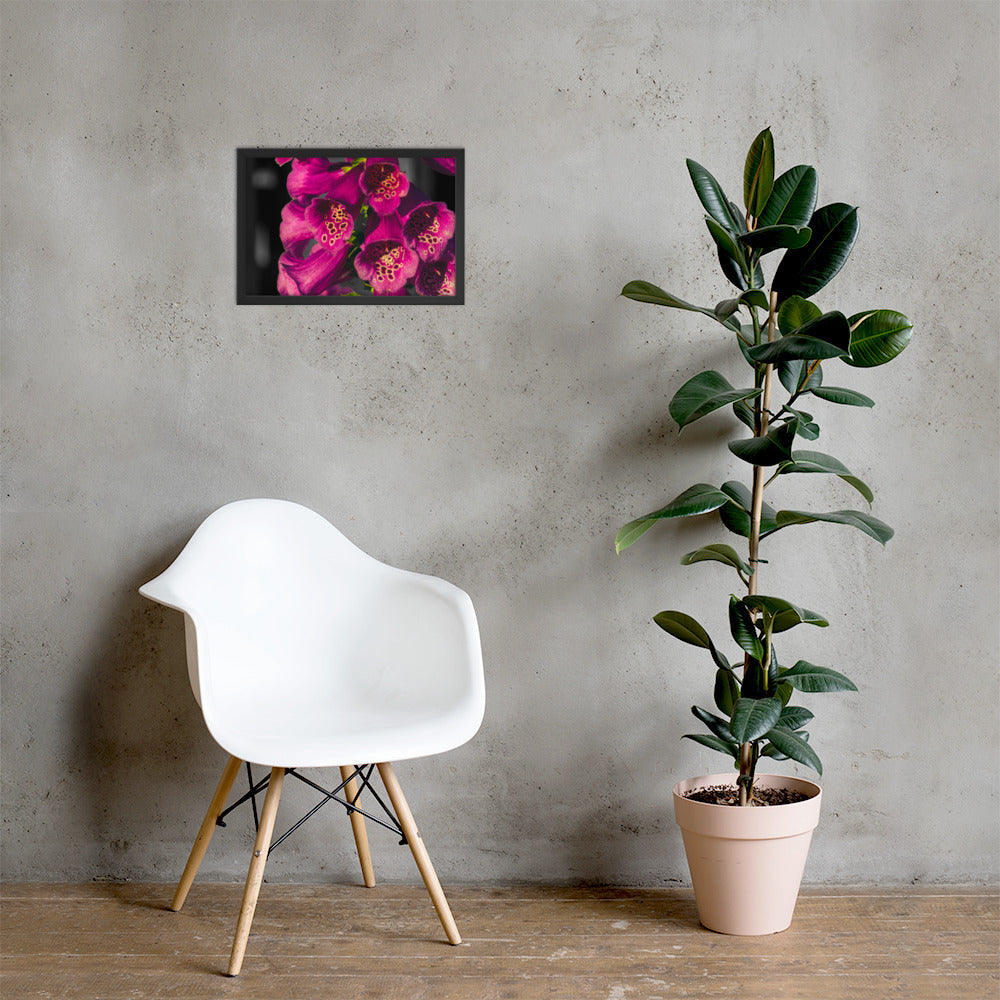 Foxglove - 12x18 - LI