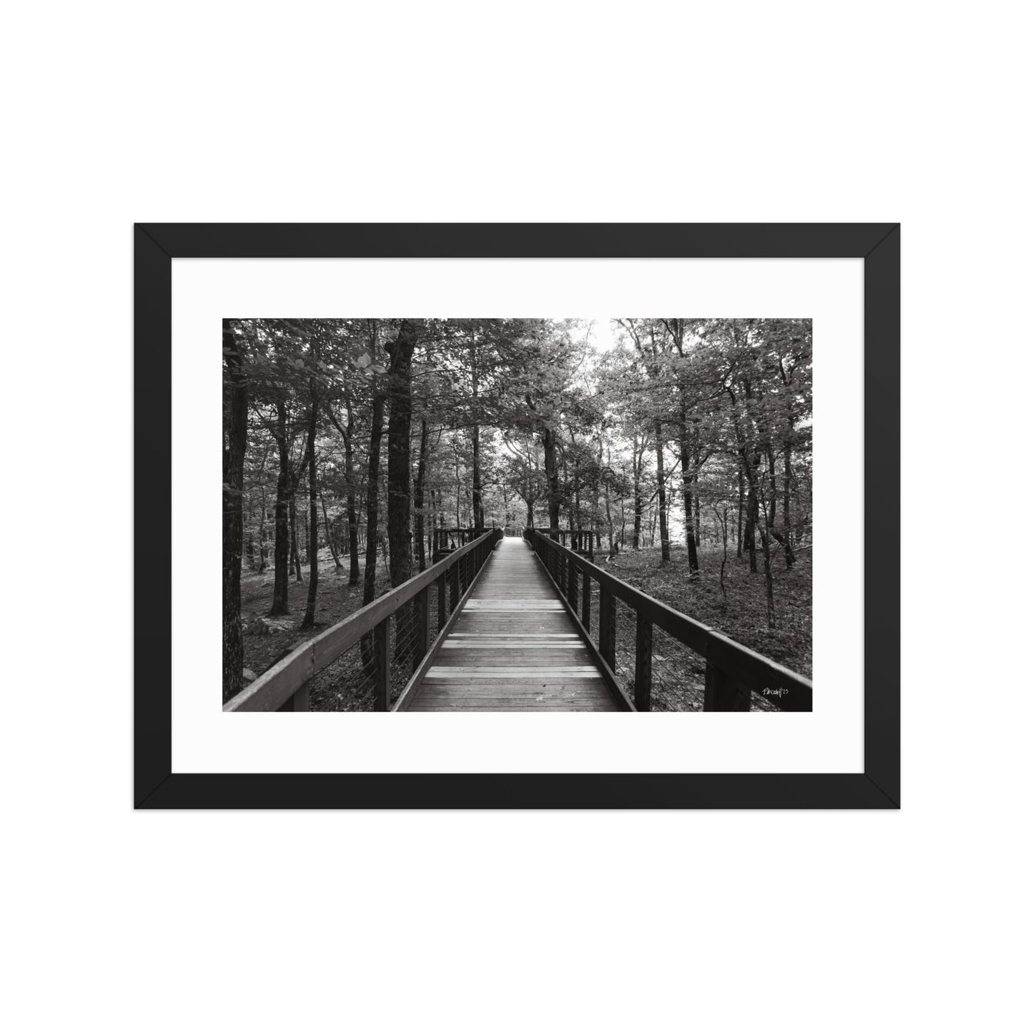 Walkway - 12x16 - T
