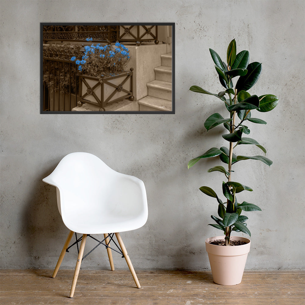 Blush - 24x36 - LI