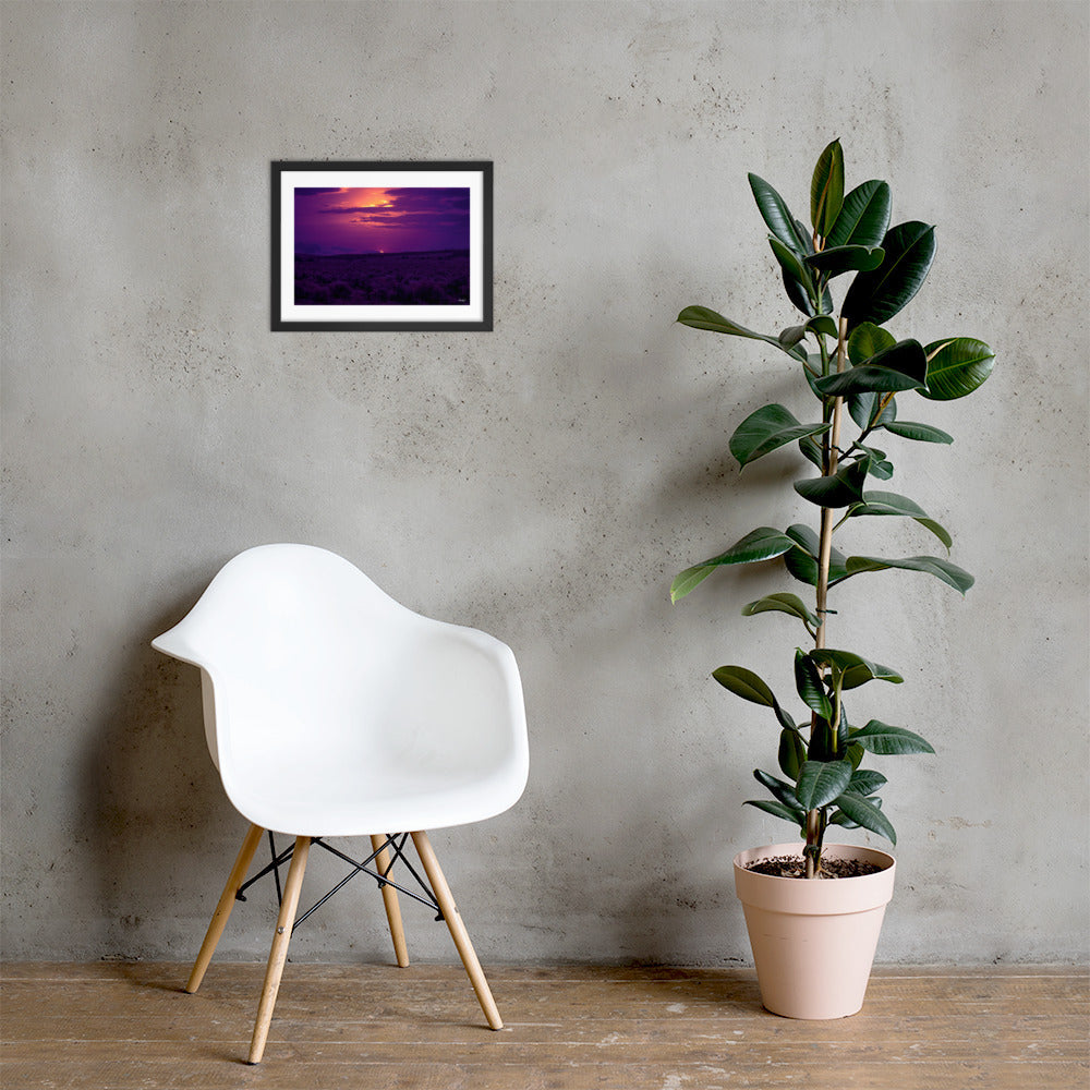 Pulse - 12x16 - LI