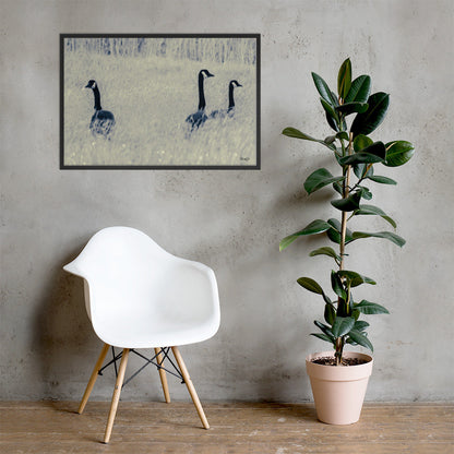 Three Geese - 24x36 - LI
