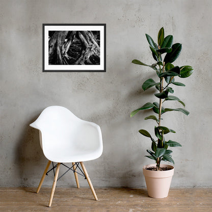 Undergrowth - 18x24 - LI