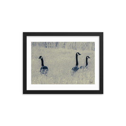 Three Geese - 12x16 - T