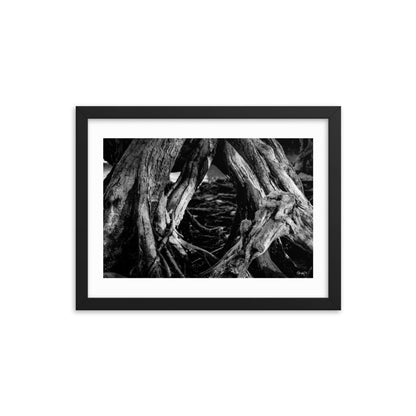 Undergrowth - 12x16 - T