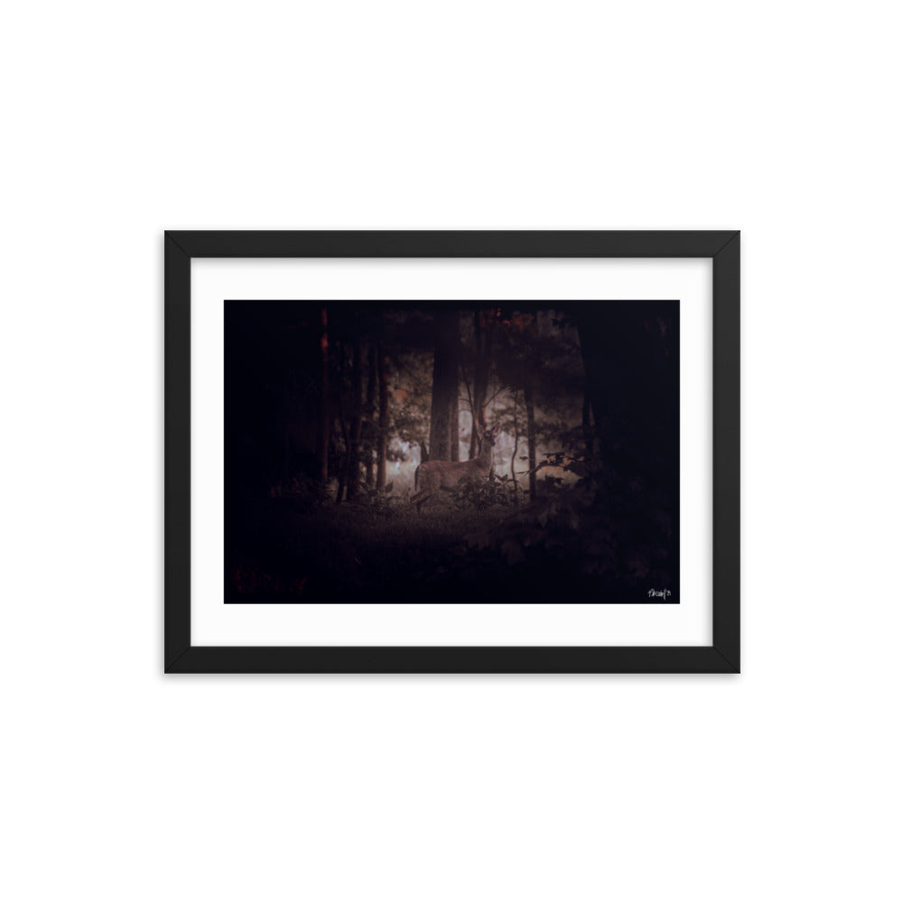 Mystic - 12x16 - T