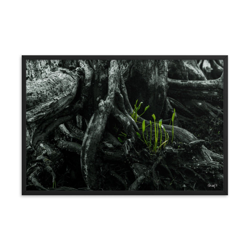 Seedlings - 24x36 - T