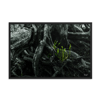 Seedlings - 24x36 - T