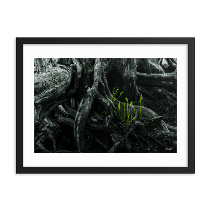 Seedlings - 18x24 - T