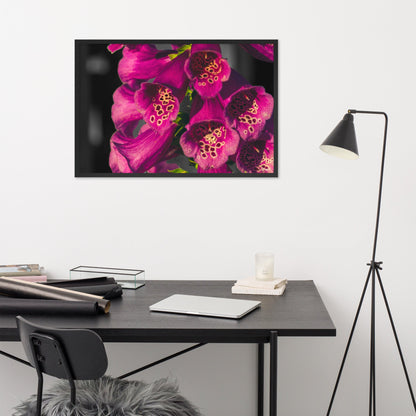 Foxglove - 24x36 - OF