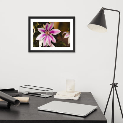 Blossom - 12x16 - OF