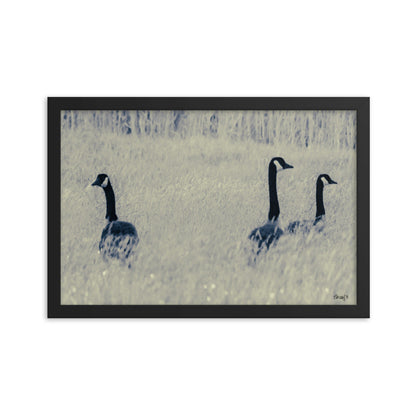 Three Geese - 12x18 - T