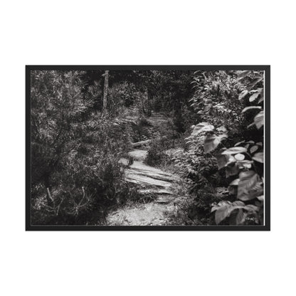 Trial - 24x36 - T