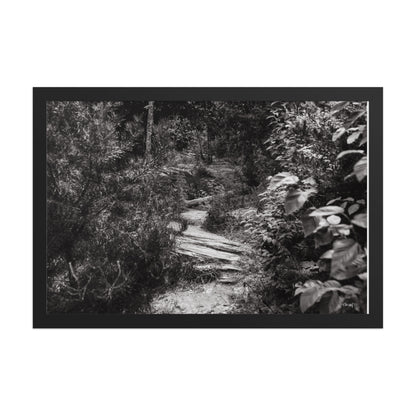 Trial - 12x18 - T
