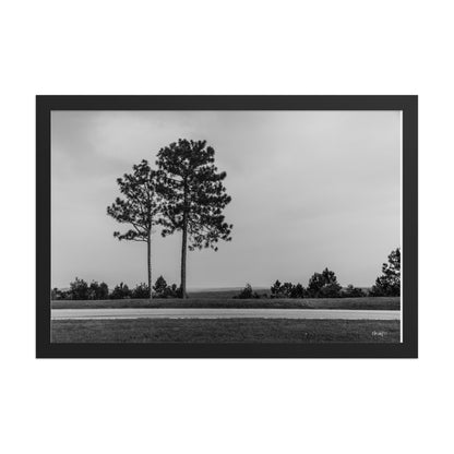 Thinning - 12x18 - T