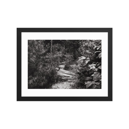 Trial - 12x16 - T