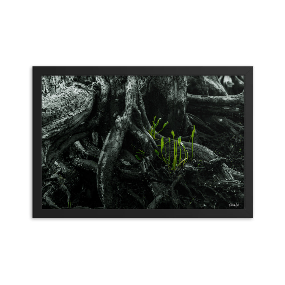 Seedlings - 12x18 - T
