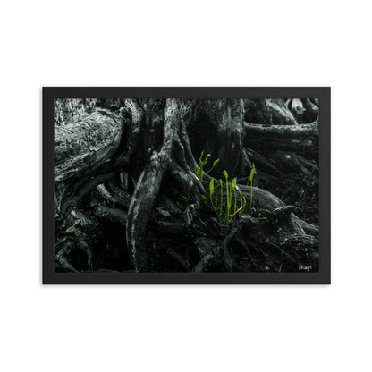 Seedlings - 12x18 - T