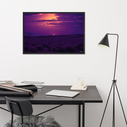 Pulse - 24x36 - OF