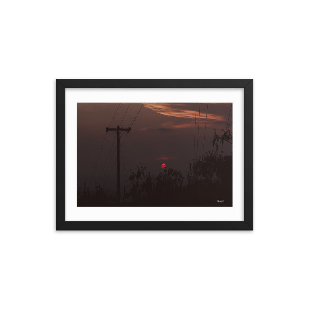 Red Eye - 12x16 - T