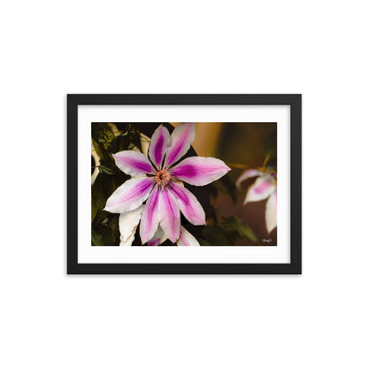 Blossom - 12x16 - T