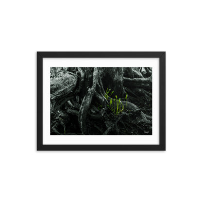 Seedlings - 12x16 - T